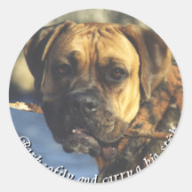 Boxer:  Big Stick Sticker