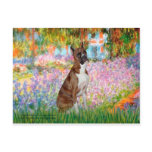 Boxer (br5) - Garden