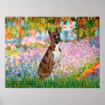 Boxer (br5) - Garden Poster