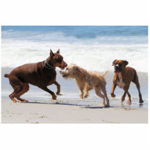 Doberman Photosculpture, Doberman Photo Sculpture