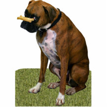 Boxer Dog Acrylic Cut Out