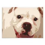 Boxer Dog Art Photo Art