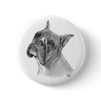 Boxer Dog Drawing Pinback Button by catanddog
