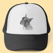 Boxer Dog Drawing hats