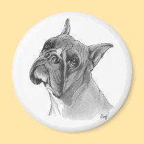 Boxer Dog Drawing magnets