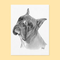 Boxer Dog Drawing postcards