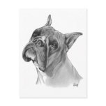 Boxer Dog Drawing Postcards