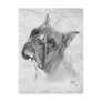 Boxer Dog Head Post Cards