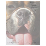 Boxer Dog Letterhead