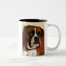 Boxer Dog mugs
