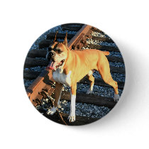 Boxer dog on Railroad Track Button
