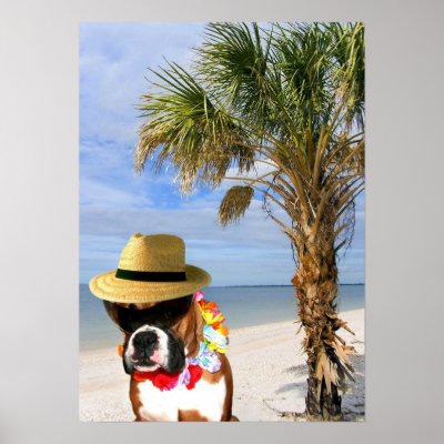 Boxer dog on the beach poster by ritmoboxer