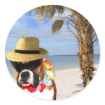 Boxer dog on the Beach stickers Sticker