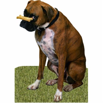 Boxer Dog Acrylic Cut Out by Photo_Sculpture_Shop