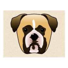 Boxer Dog Post Card