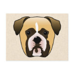 Boxer Dog Post Card