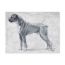 Boxer Dog Standing Postcard