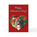 Boxer dog Valentines Day Card