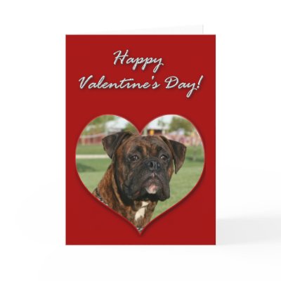 Boxer dog Valentines Day Card by ritmoboxer