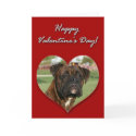 Boxer dog Valentines Day Card