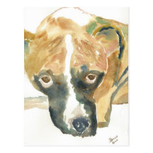 Boxer Doggie Buddy Post Cards