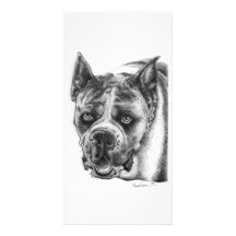 Boxer Drawing Personalized Photo Card