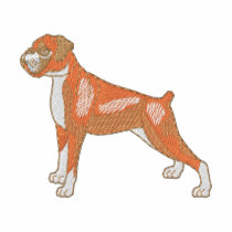 Boxer