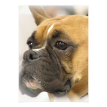 Boxer Face Invitation