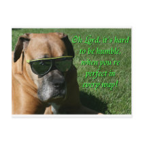 Boxer:  Hard to be Humble Post Card