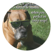 Boxer:  Hard to be Humble Round Stickers