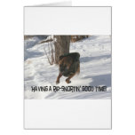 Boxer:  Having a Rip-Snortin' Good Time Card