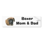 Boxer Mom & Dad Bumper Sticker bumper stickers