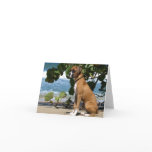 Boxer Note Card