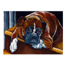 Boxer "Patience" Postcards