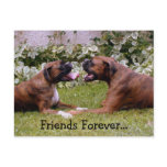 Boxer Post Card