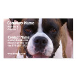 Boxer Pup Business Card business cards