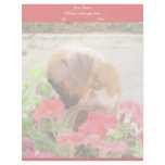 Boxer Puppies in Petunias letterhead