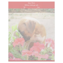 Boxer Puppies in Petunias letterhead