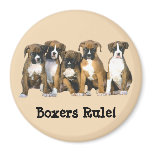 Boxer Puppies Magnet