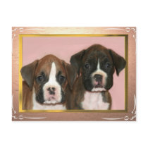 Boxer Puppies postcard