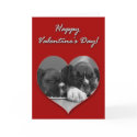 Boxer puppies Valentines Day Card