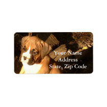 Boxer puppy address labels