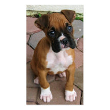 Boxer puppy business cards