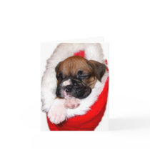 Boxer puppy in Christmas Stocking notecard