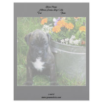 Boxer puppy letterhead design