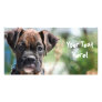 Boxer puppy photocard photo card