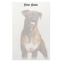 Boxer stationary stationery design