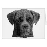 Boxer Stylized Image Card