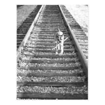 Boxer travelling greeting card postcard