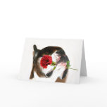 Boxer with Red Rose Postcard